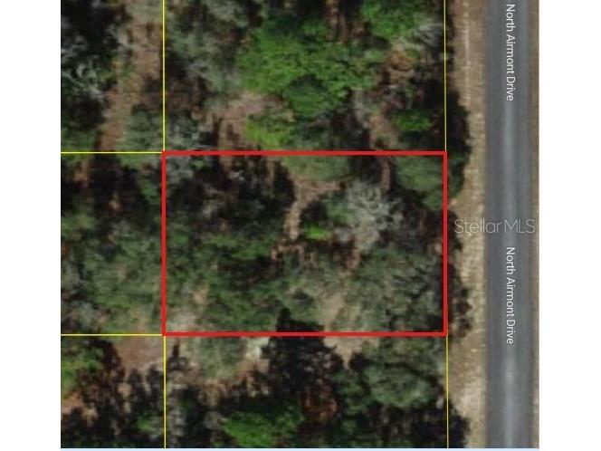 6692 N Airmont Drive Dunnellon FL 34433 W7882834 image3