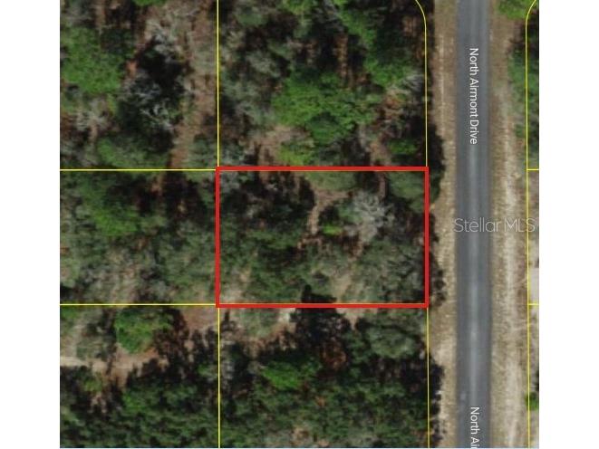 6692 N Airmont Drive Dunnellon FL 34433 W7882834 image4