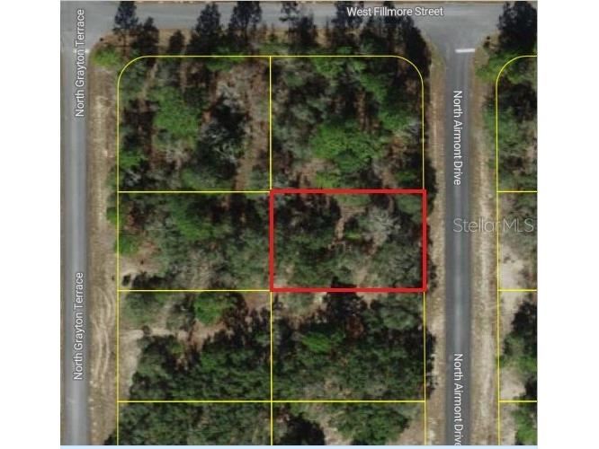 6692 N Airmont Drive Dunnellon FL 34433 W7882834 image5