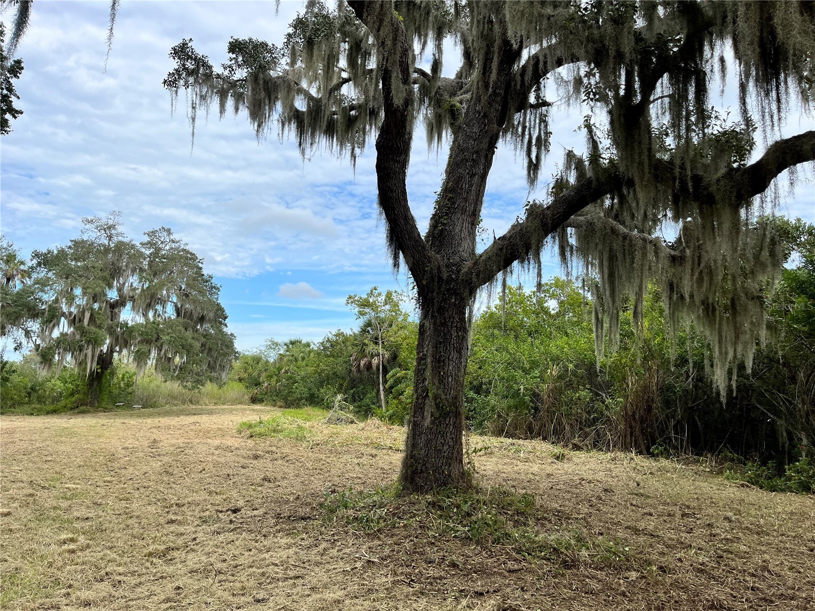 6715 16th Avenue E Palmetto FL 34221 TB8494973 image2