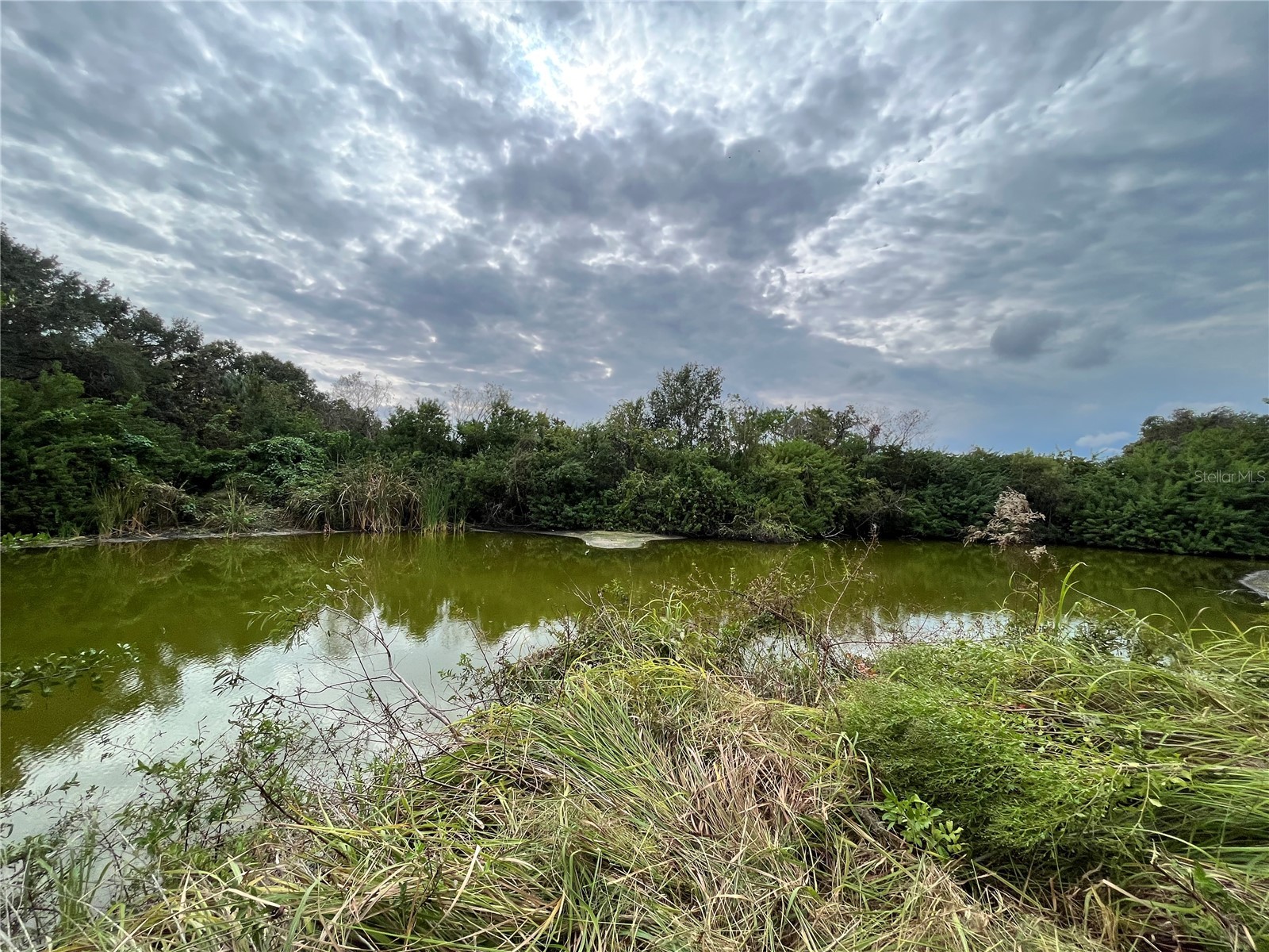 6715 16th Avenue E Palmetto FL 34221 TB8494973 image7