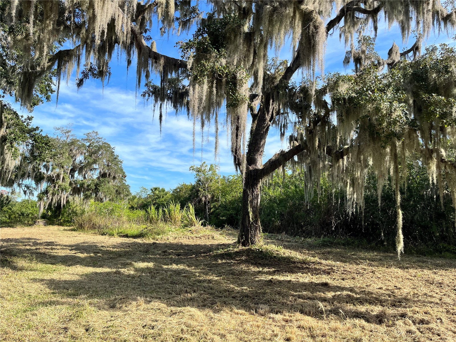 6715 16th Avenue E Palmetto FL 34221 TB8494975 image1