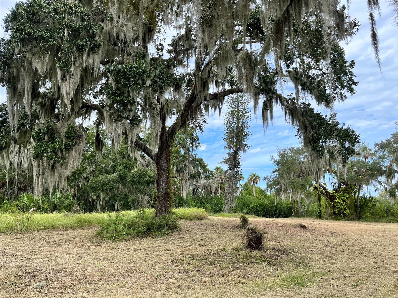 6715 16th Avenue E Palmetto FL 34221 TB8494975 image2