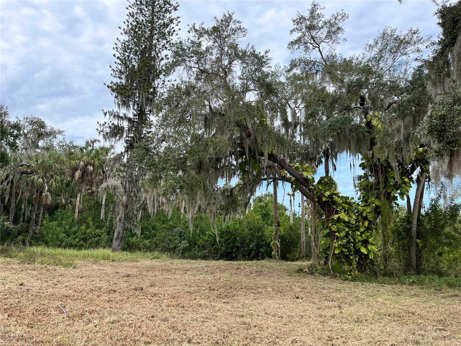 6715 16th Avenue E Palmetto FL 34221 TB8494975 image4