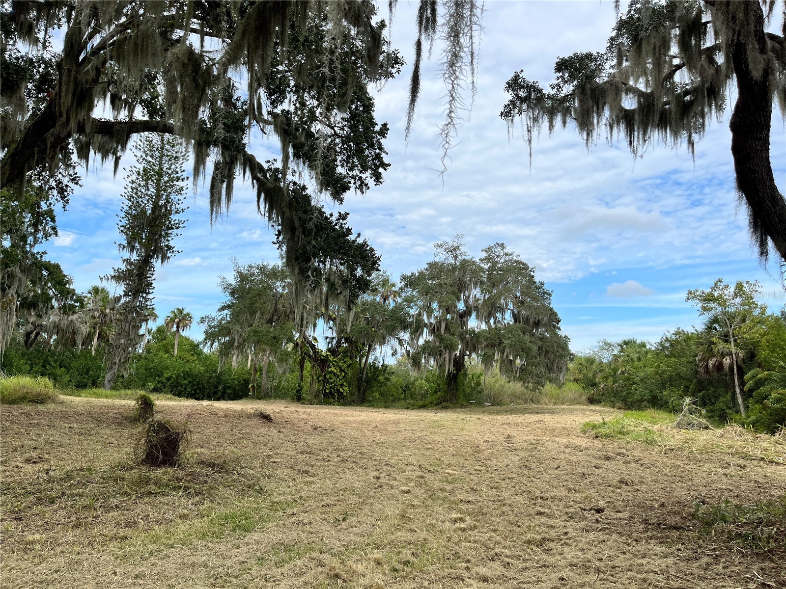 6715 16th Avenue E Palmetto FL 34221 TB8494975 image6