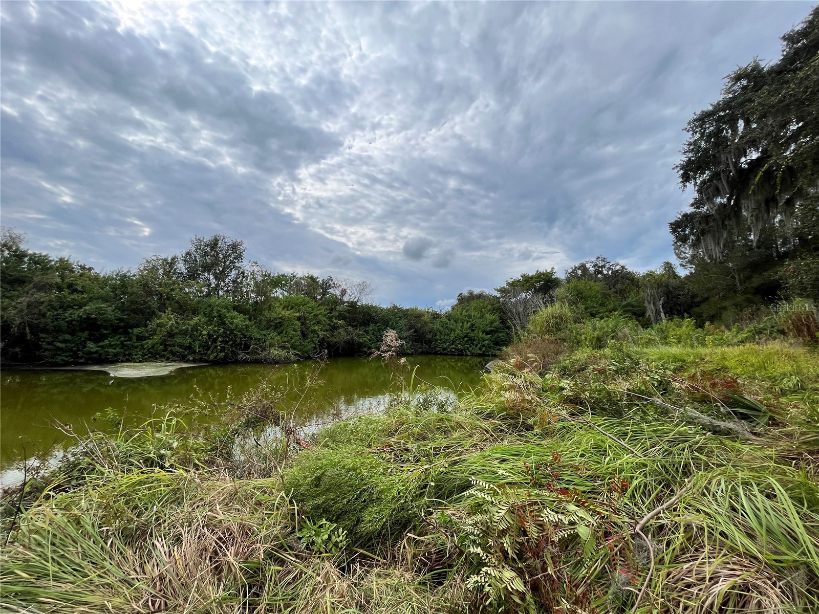 6715 16th Avenue E Palmetto FL 34221 TB8494975 image9