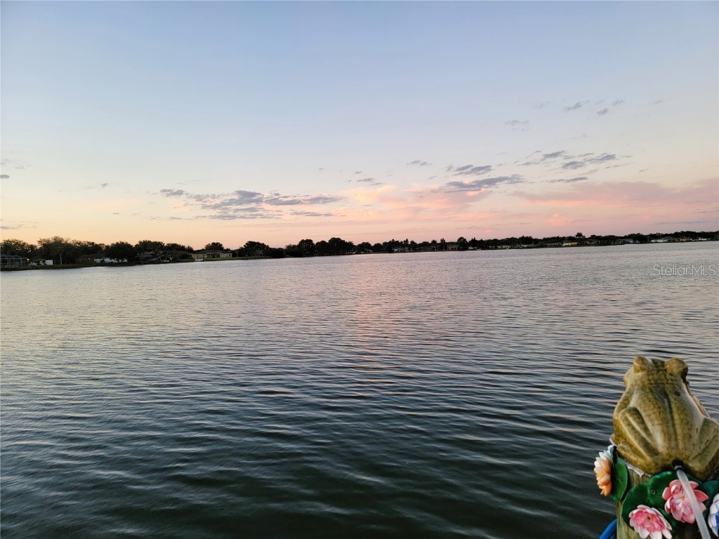 6715 Clair Shore Drive Apollo Beach FL 33572 - LAKE ST CLAIR T3357651 image1