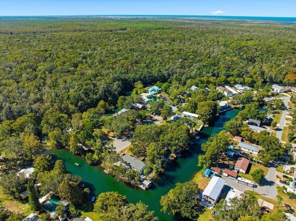 6715 W Richard Drive Weeki Wachee FL 34607 W7880298 image37