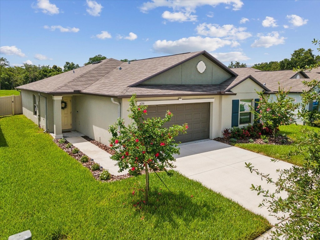 6716 Emerald Spring Loop New Port Richey FL 34653 U8247211 image1