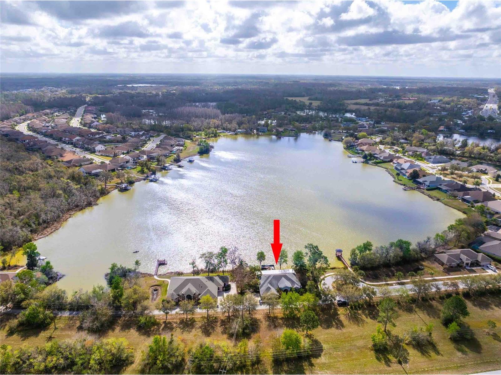 6716 Magnolia Point Drive Land O Lakes FL 34637 - CURVE LAKE TB8483564 image1