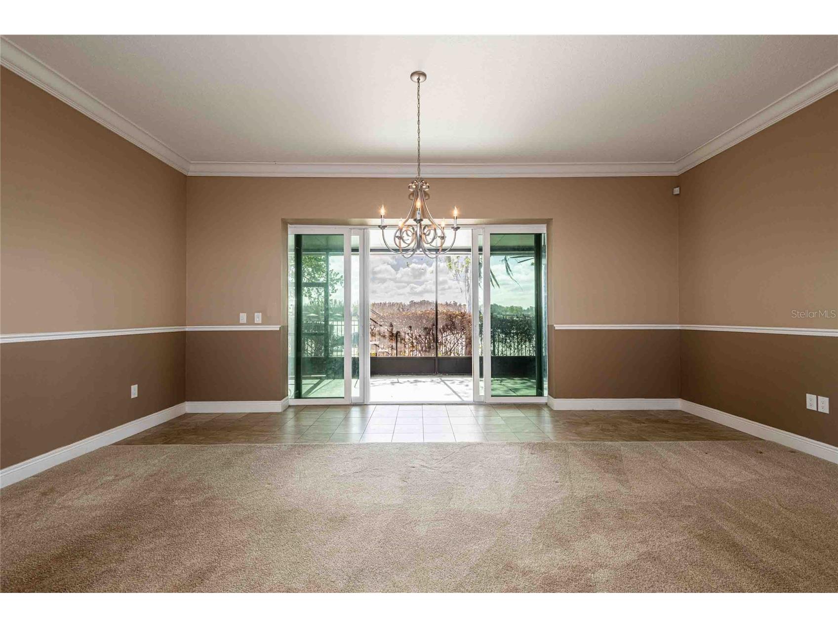 6716 Magnolia Point Drive Land O Lakes FL 34637 - CURVE LAKE TB8483564 image13