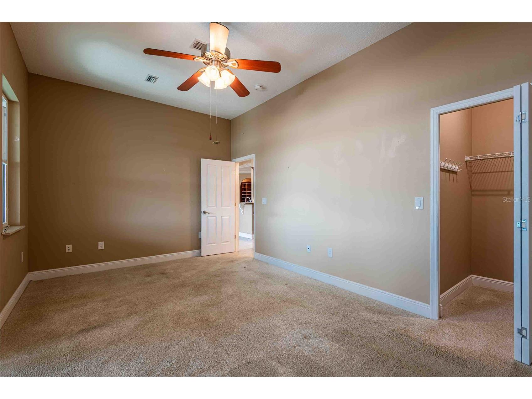6716 Magnolia Point Drive Land O Lakes FL 34637 - CURVE LAKE TB8483564 image23