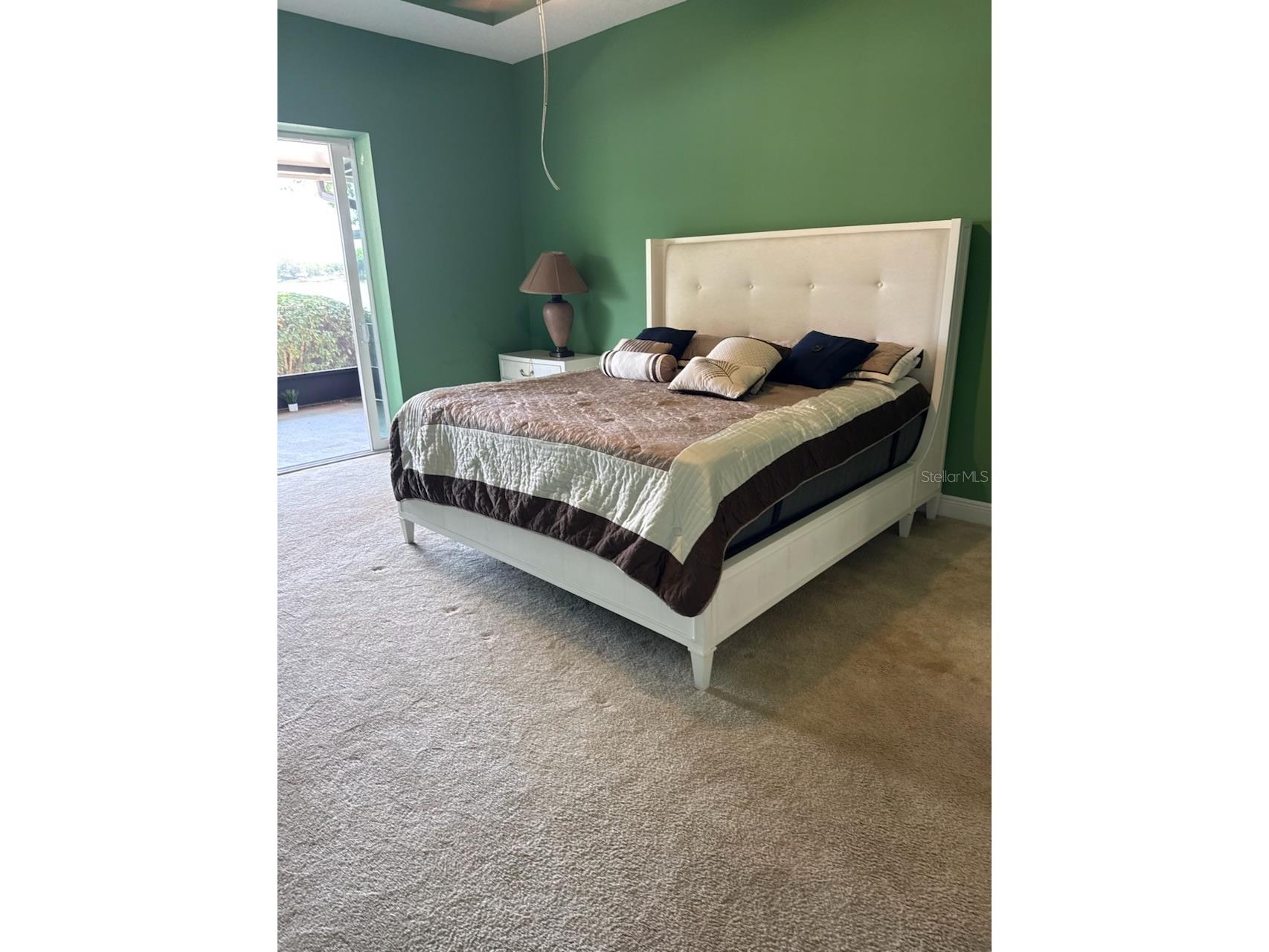 6716 Magnolia Point Drive Land O Lakes FL 34637 - CURVE LAKE TB8483564 image25