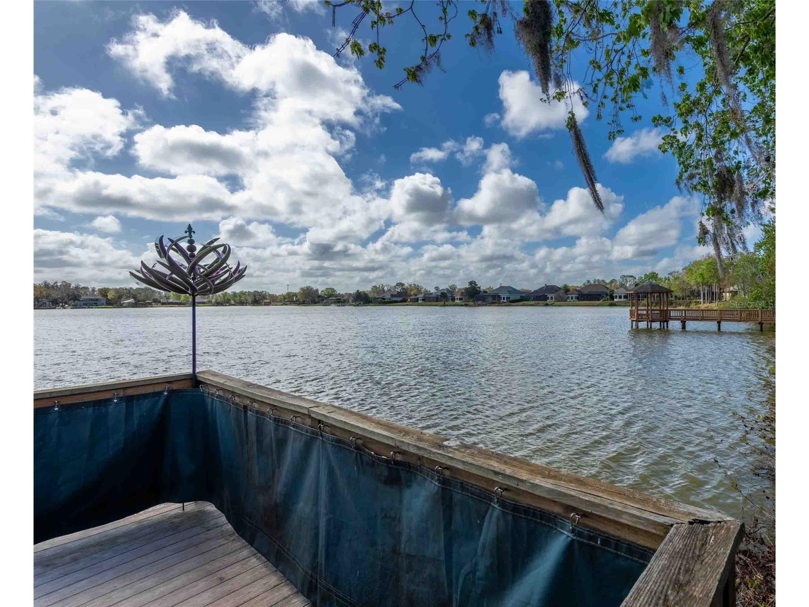 6716 Magnolia Point Drive Land O Lakes FL 34637 - CURVE LAKE TB8483564 image30