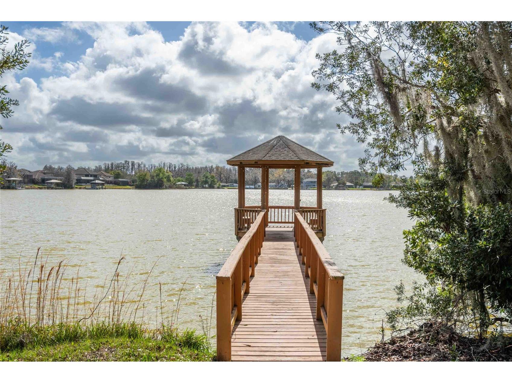 6716 Magnolia Point Drive Land O Lakes FL 34637 - CURVE LAKE TB8483564 image32