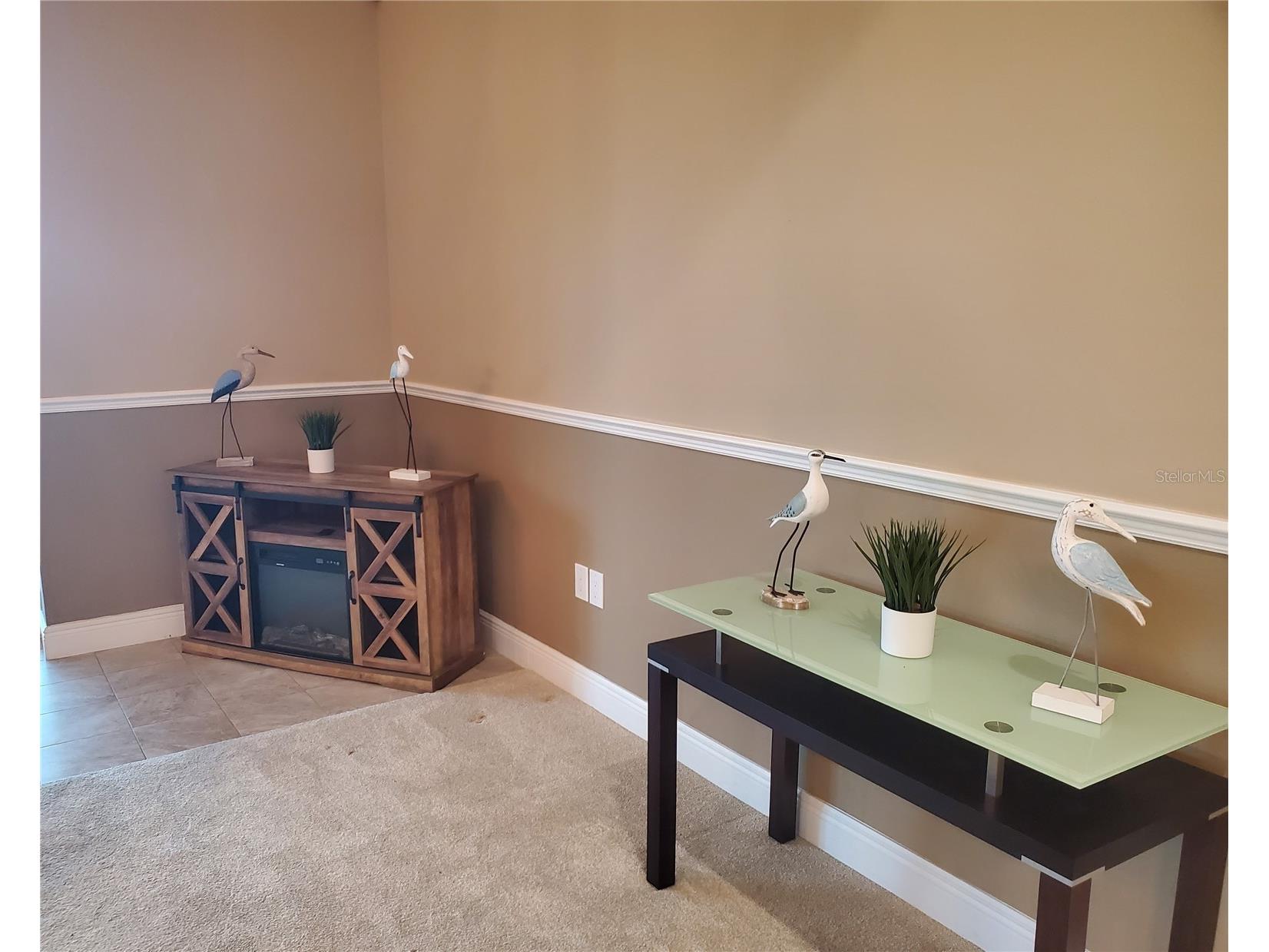 6716 Magnolia Point Drive Land O Lakes FL 34637 - CURVE LAKE TB8483564 image35