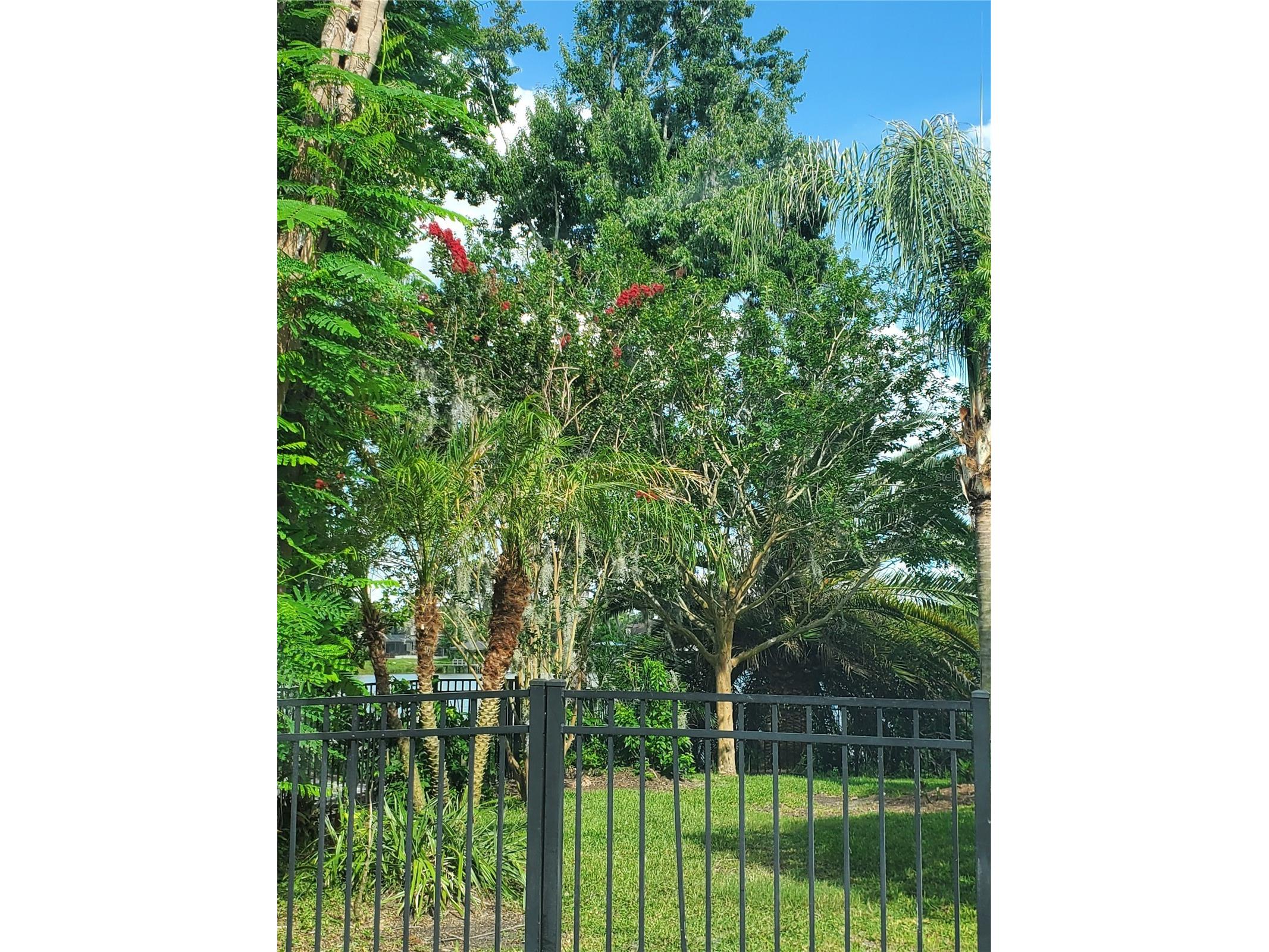 6716 Magnolia Point Drive Land O Lakes FL 34637 - CURVE LAKE TB8483564 image41