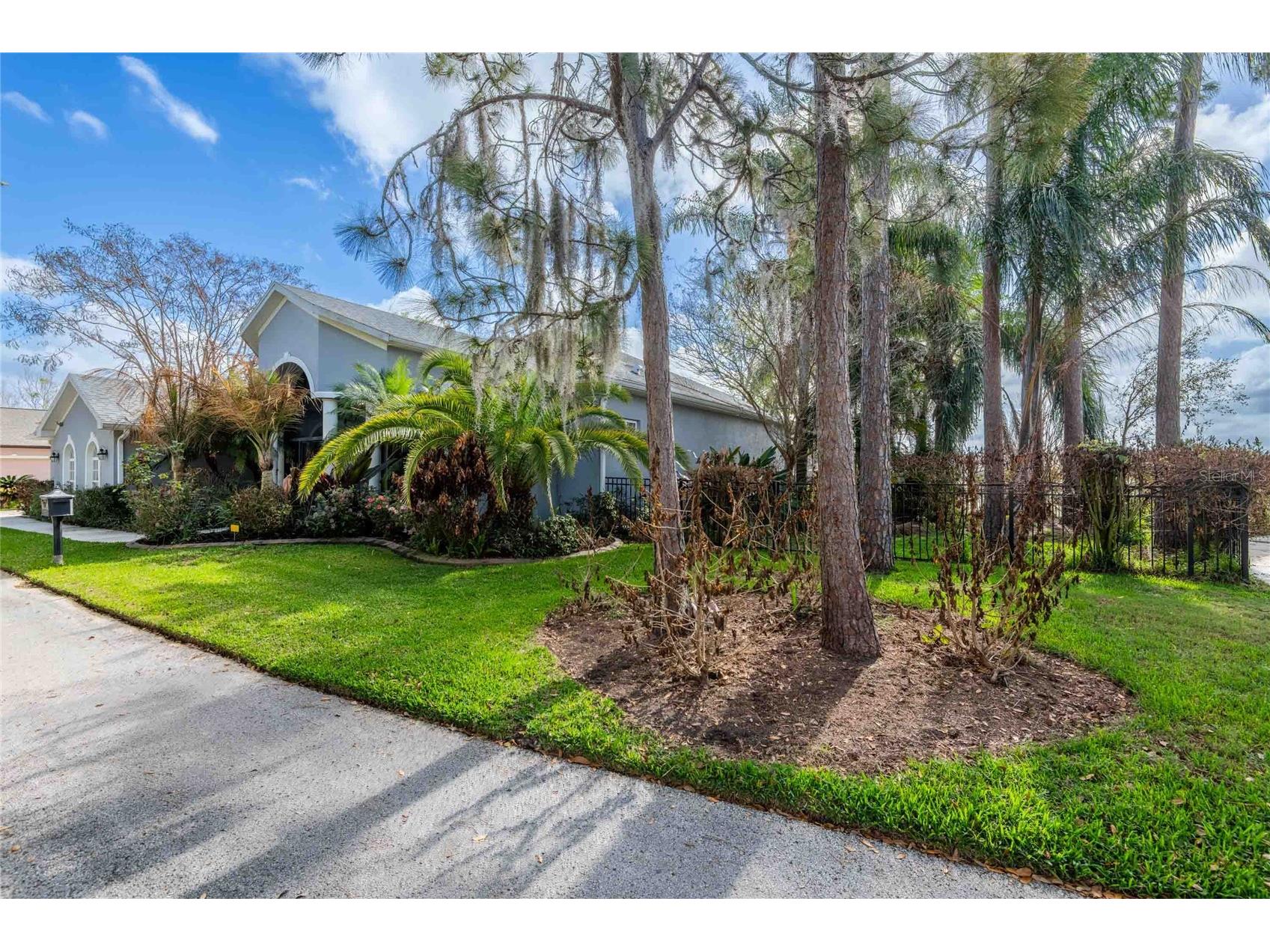6716 Magnolia Point Drive Land O Lakes FL 34637 - CURVE LAKE TB8483564 image8