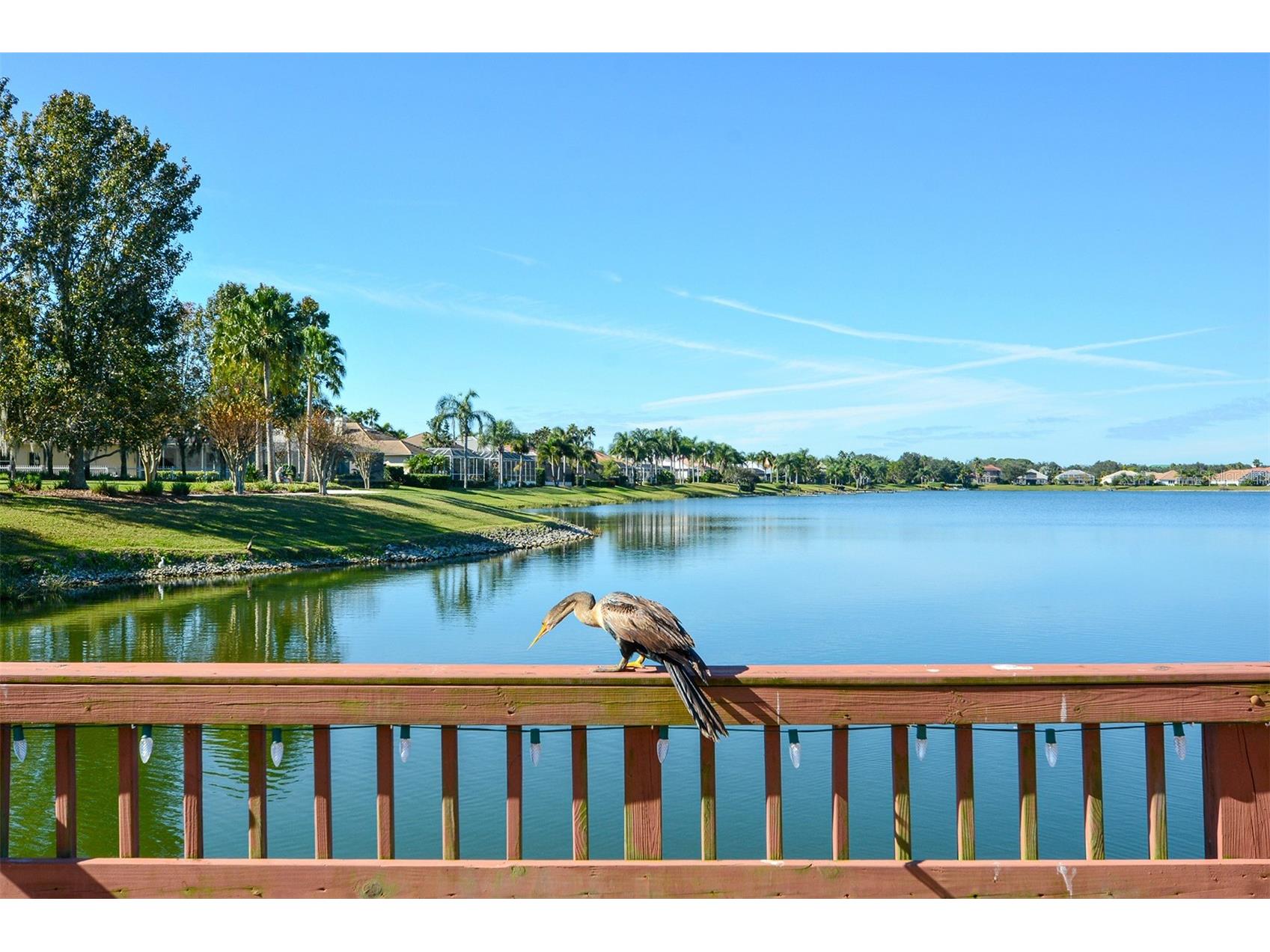 6716 Spring Moss Place Lakewood Ranch FL 34202 A4690242 image47