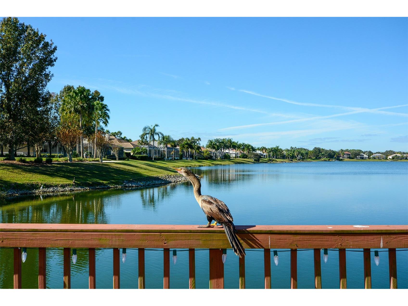 6716 Spring Moss Place Lakewood Ranch FL 34202 A4690242 image48