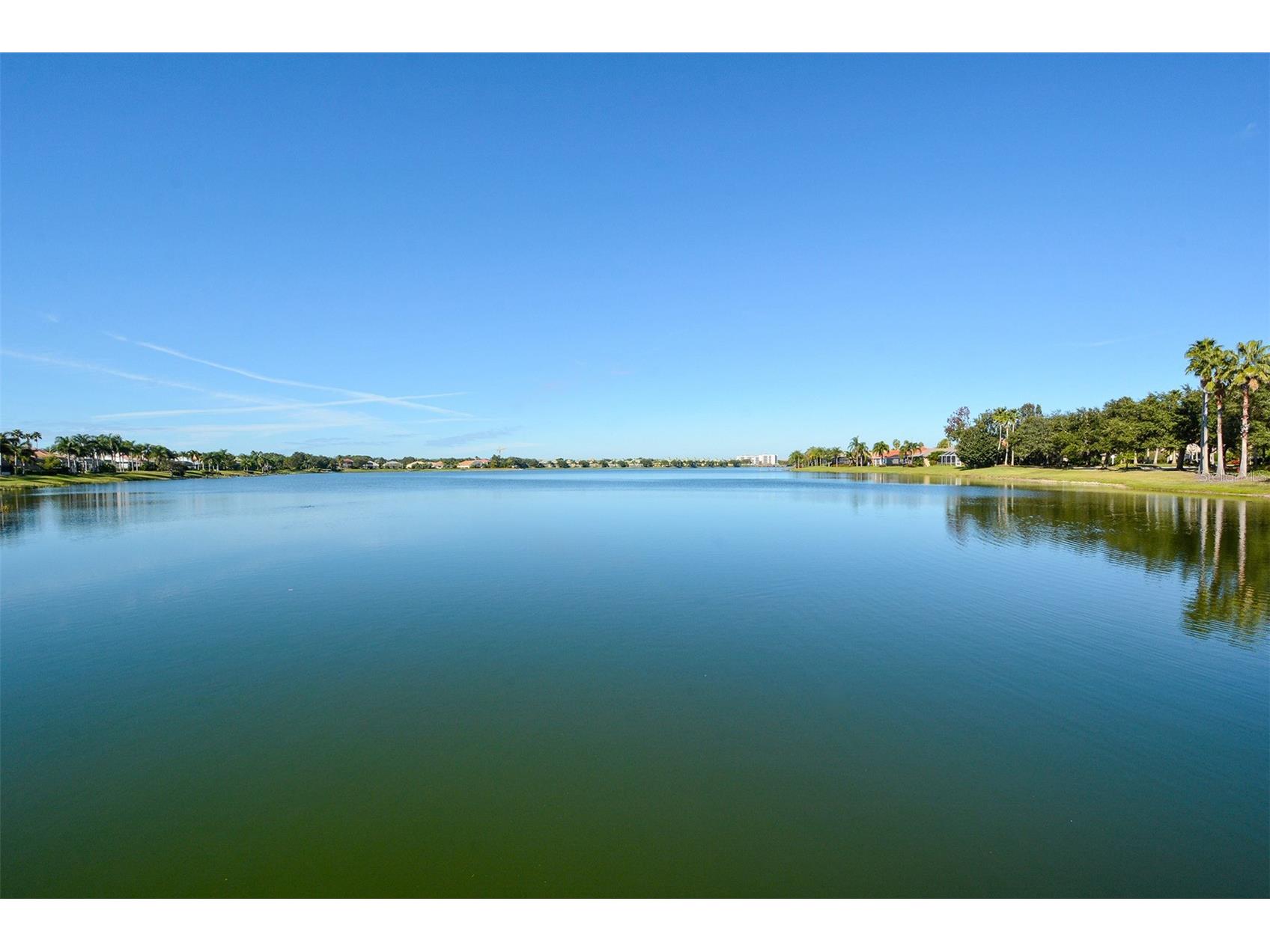 6716 Spring Moss Place Lakewood Ranch FL 34202 A4690242 image52