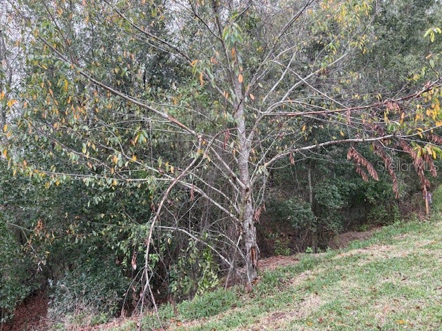 6716 SW 179th Avenue Road Dunnellon FL 34432 OM707922 image11