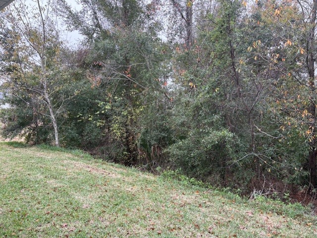 6716 SW 179th Avenue Road Dunnellon FL 34432 OM707922 image12