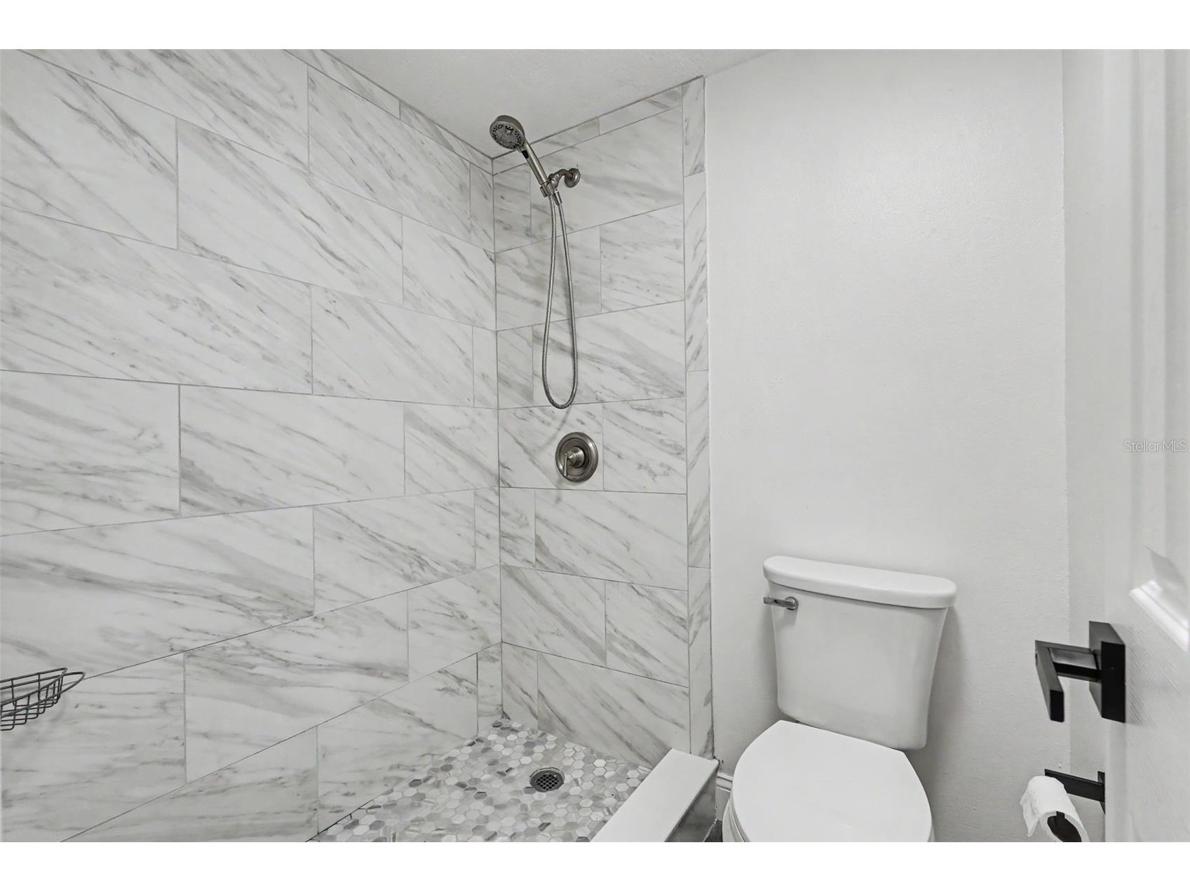6716 Timberlane West Drive Tampa FL 33615 TB8525063 image18