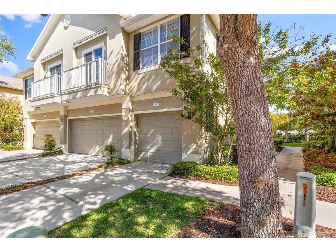 6717 Breezy Palm Drive Riverview FL 33578 T3522360 image1