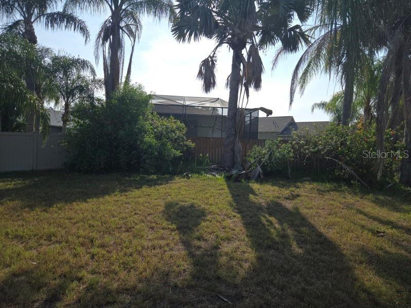 6717 Guilford Crest Drive Apollo Beach FL 33572 O6422544 image7