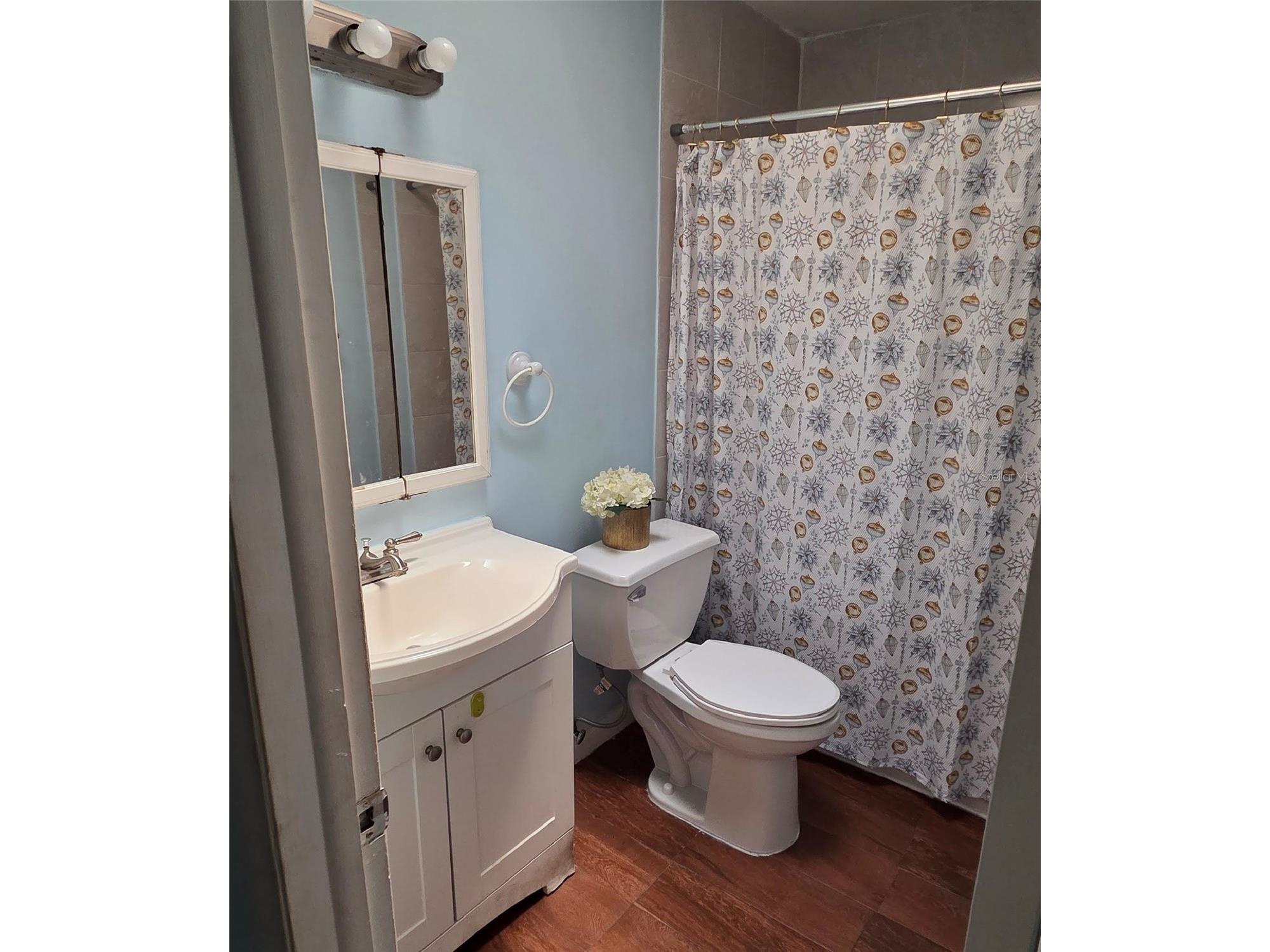 6717 Mornay Tampa FL 33615 TB8516712 image12