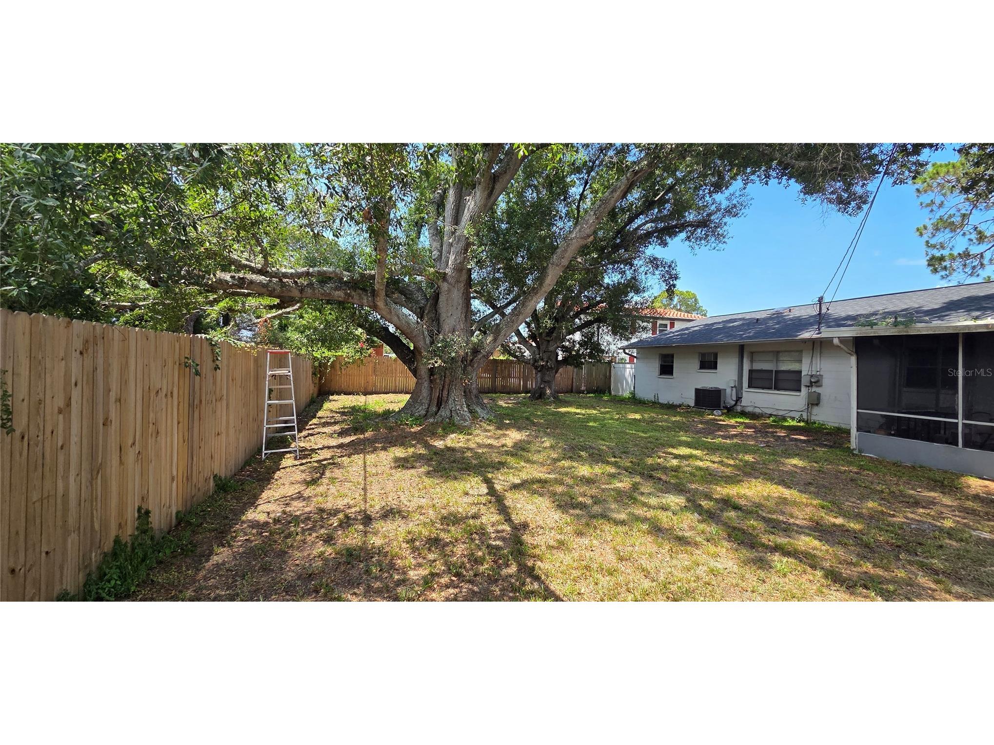6717 Mornay Tampa FL 33615 TB8516712 image16