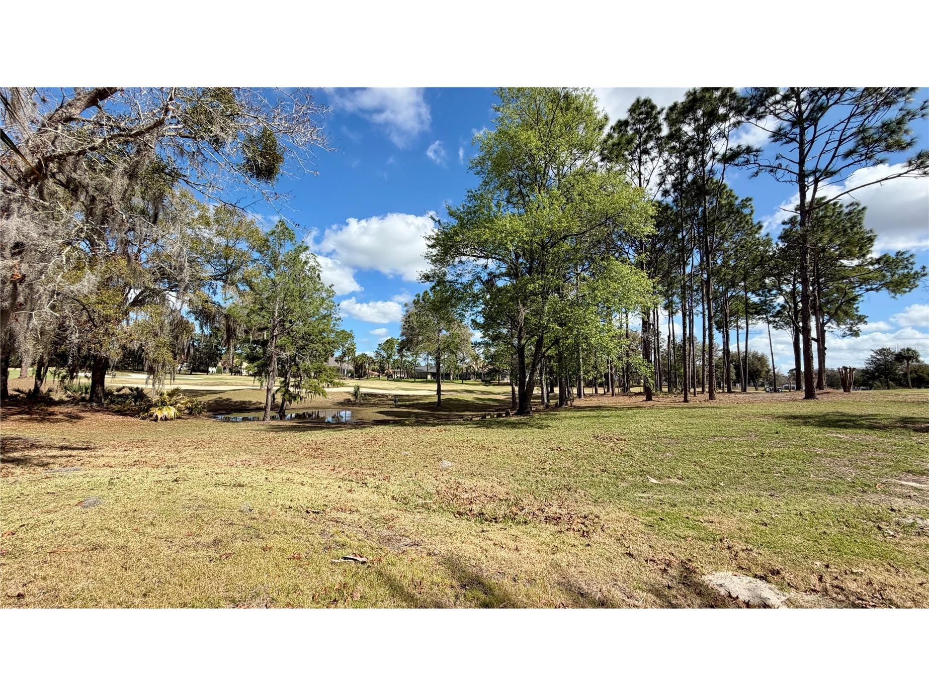 6717 SW 179th Avenue Road Dunnellon FL 34432 O6388543 image53