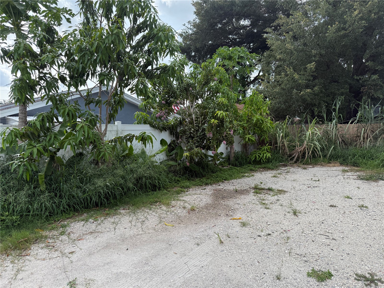 6718 Donald Avenue Tampa FL 33614 TB8522035 image34