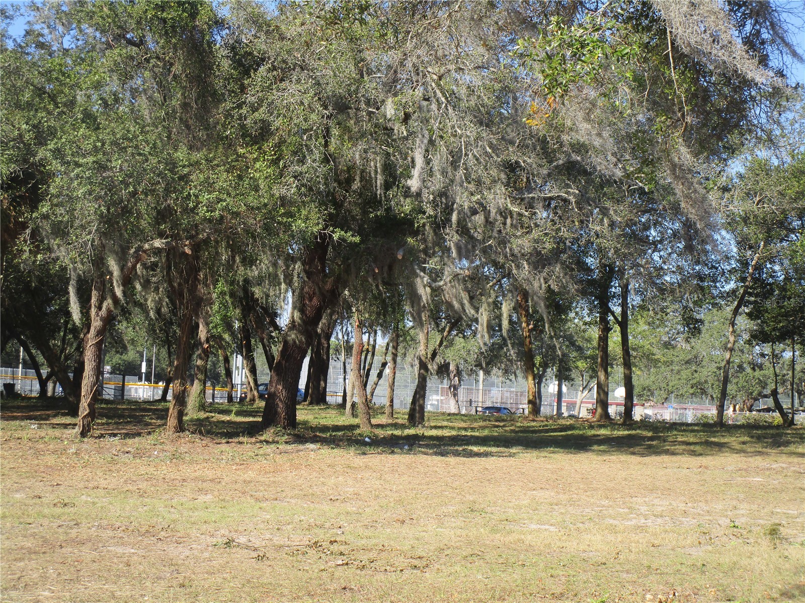 6718 N Rome Avenue Tampa FL 33604 TB8525983 image1