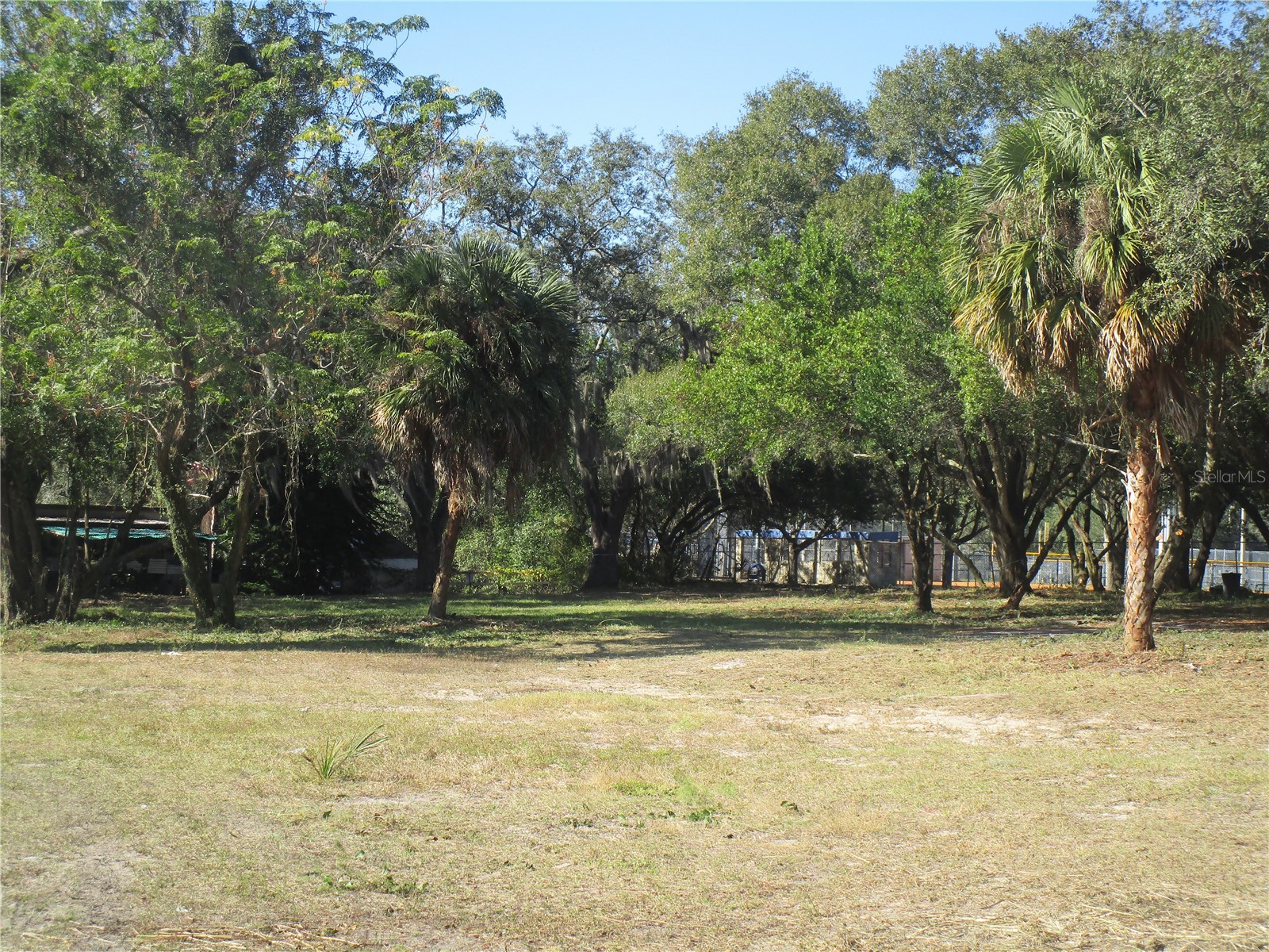 6718 N Rome Avenue Tampa FL 33604 TB8525983 image2