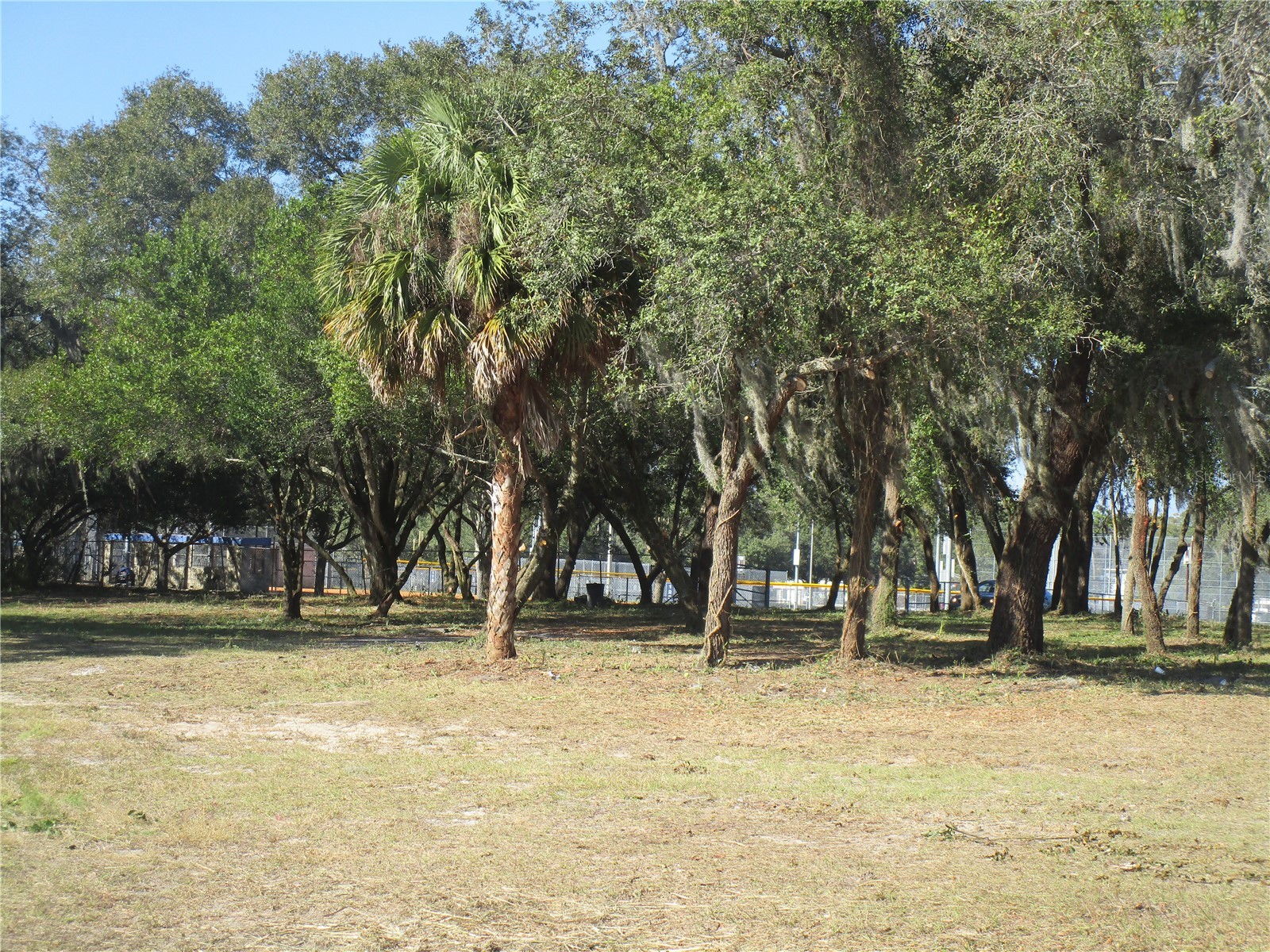 6718 N Rome Avenue Tampa FL 33604 TB8525983 image3