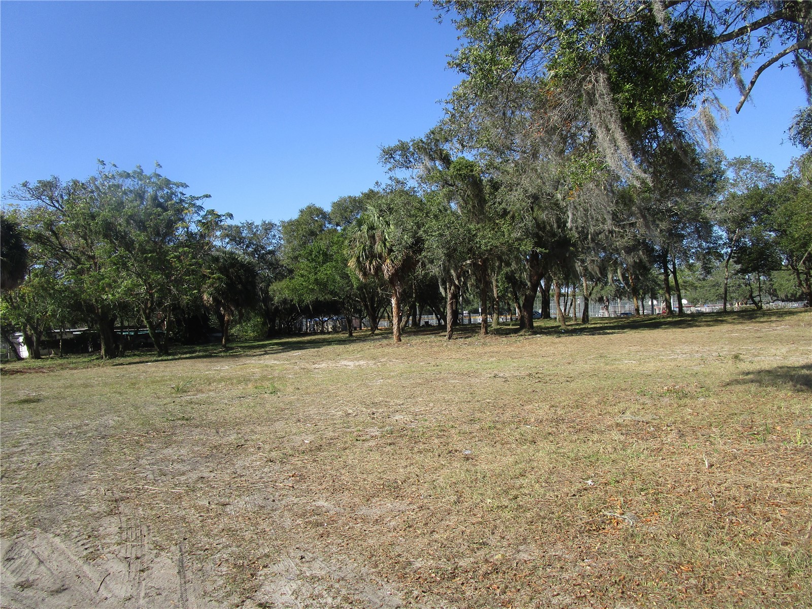 6718 N Rome Avenue Tampa FL 33604 TB8525983 image4