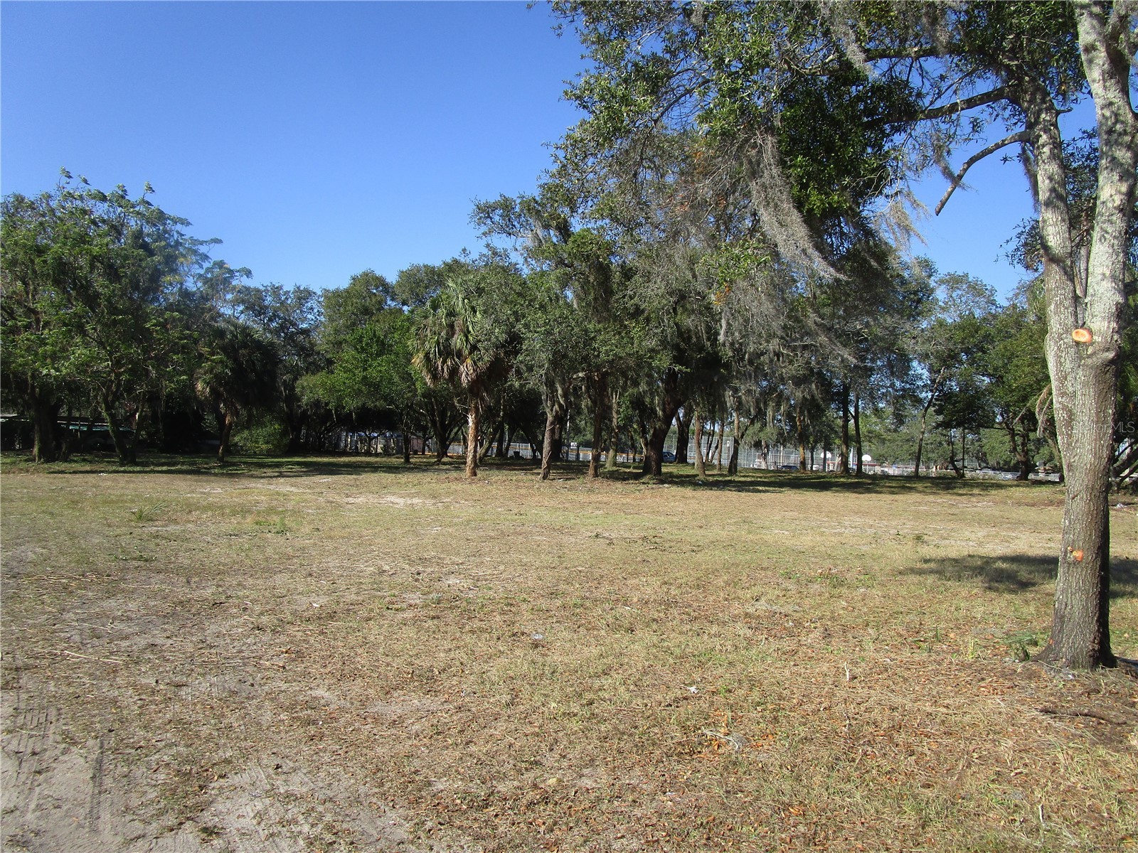 6718 N Rome Avenue Tampa FL 33604 TB8525983 image5
