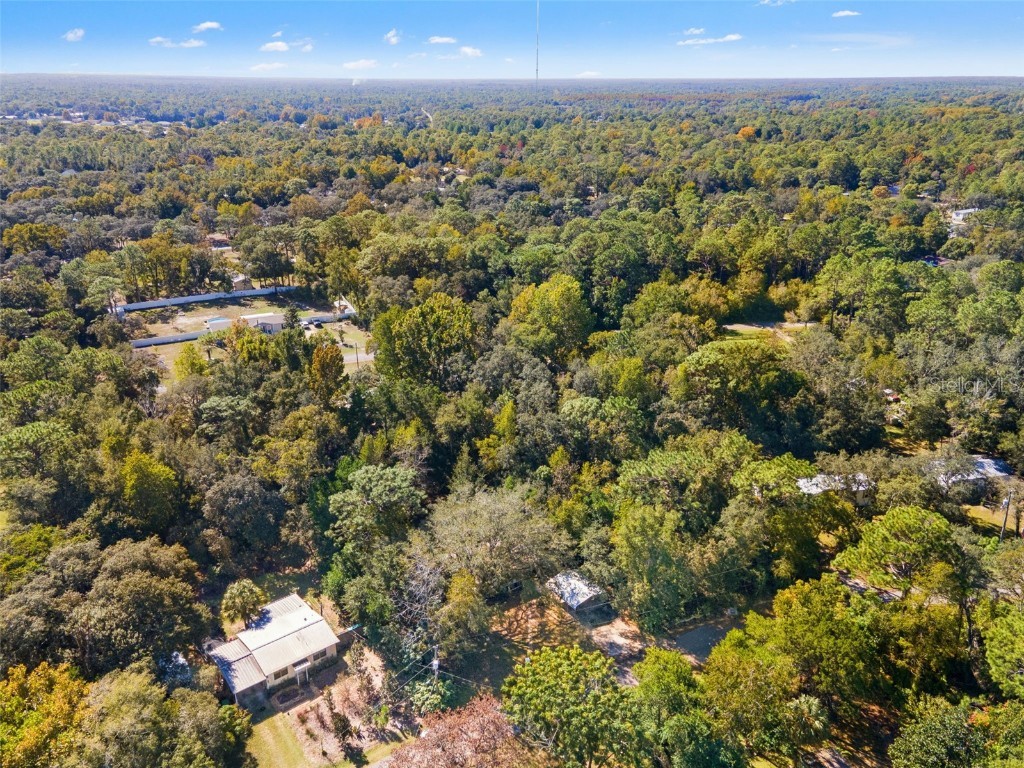 6718 W Pershing Drive Homosassa FL 34448 TB8440410 image39