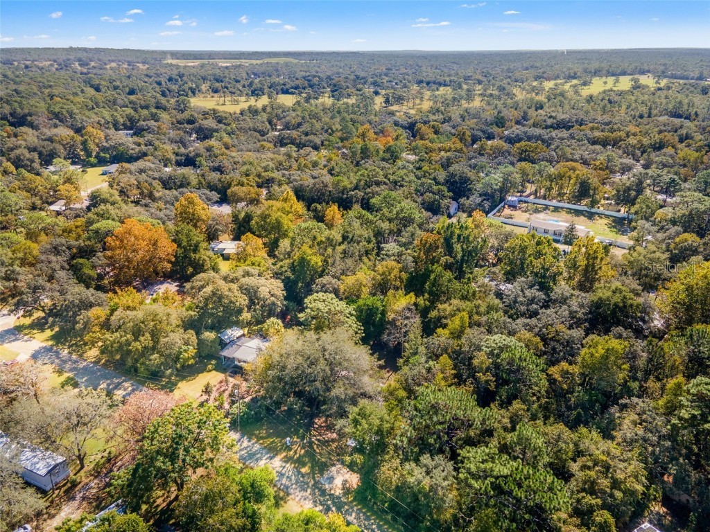 6718 W Pershing Drive Homosassa FL 34448 TB8440410 image40