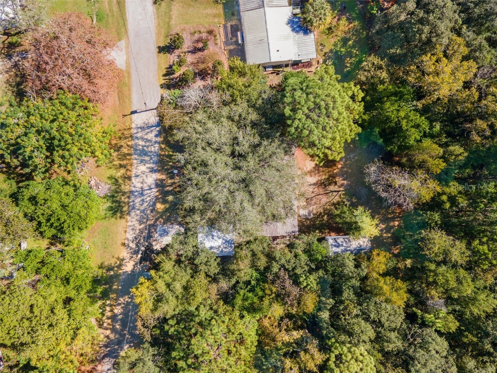 6718 W Pershing Drive Homosassa FL 34448 TB8440410 image41