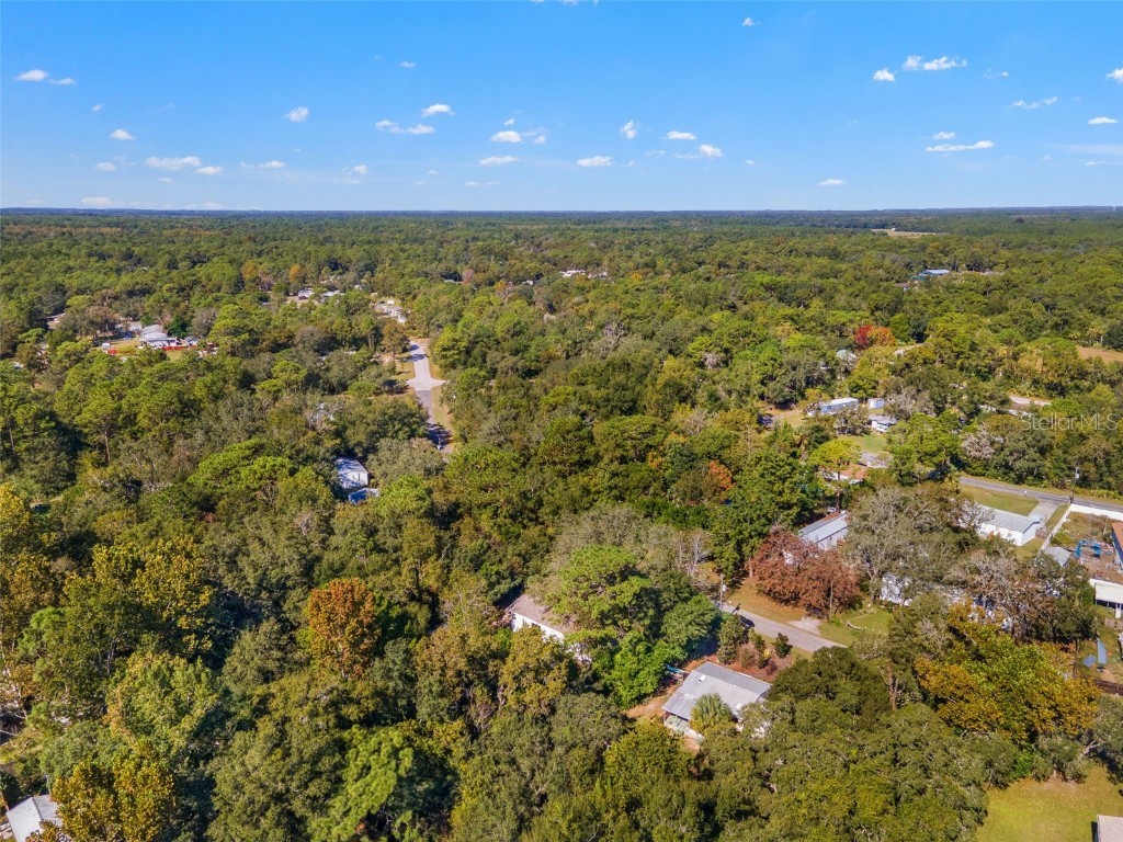 6718 W Pershing Drive Homosassa FL 34448 TB8440410 image43