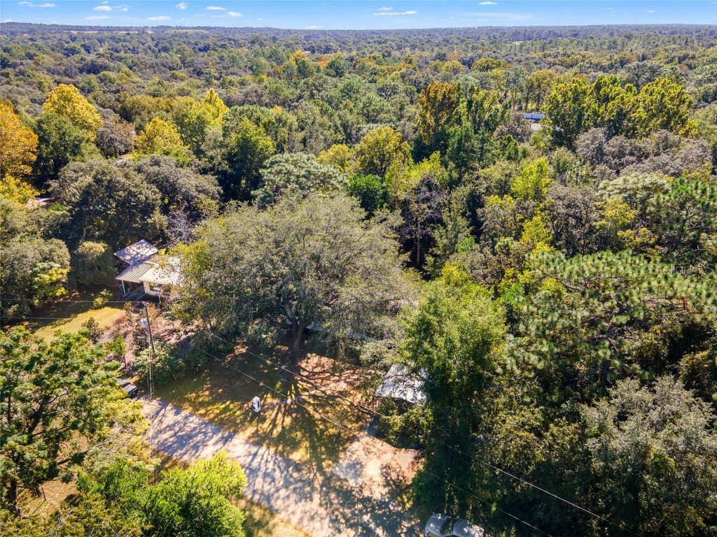 6718 W Pershing Drive Homosassa FL 34448 TB8440410 image45