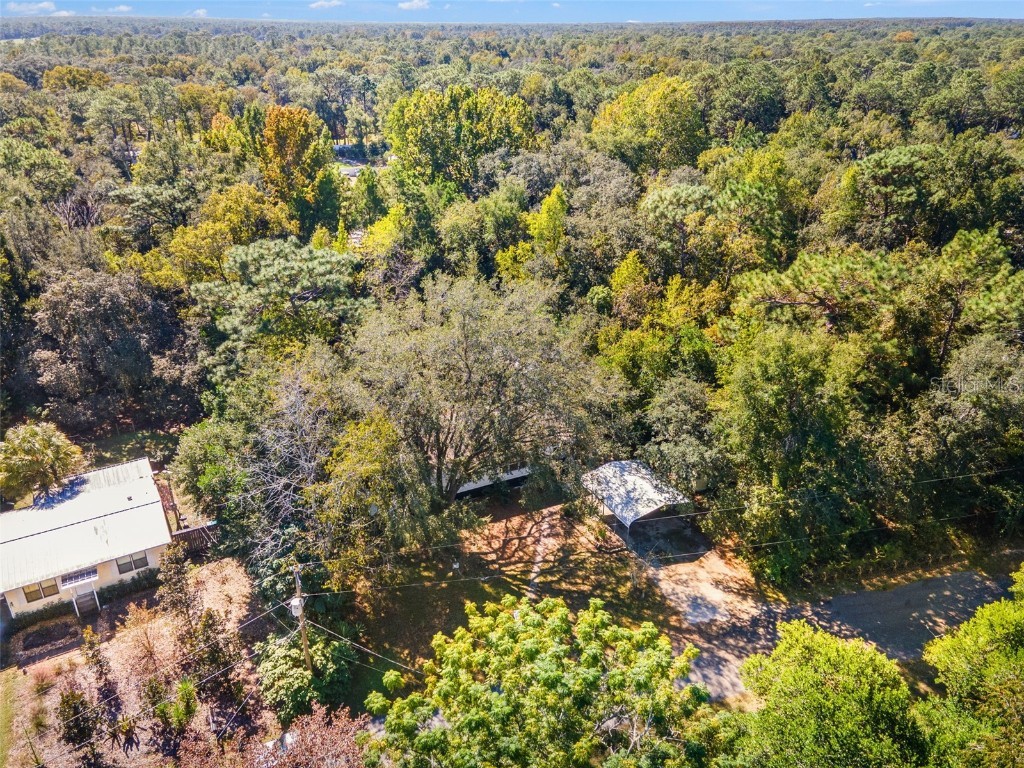 6718 W Pershing Drive Homosassa FL 34448 TB8440410 image46