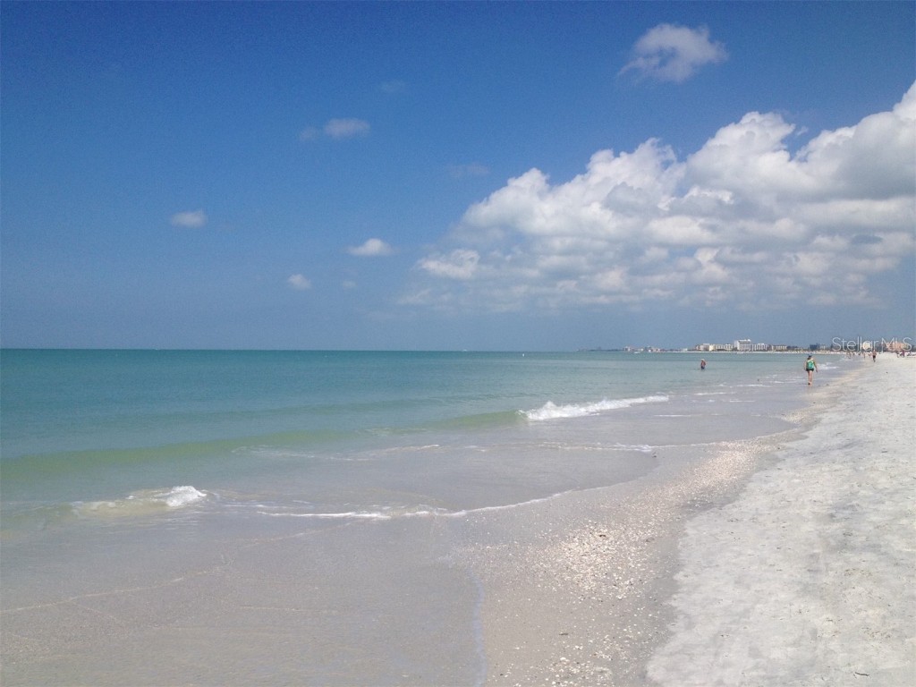 6719 3rd Avenue N Saint Petersburg FL 33710 TB8420250 image69