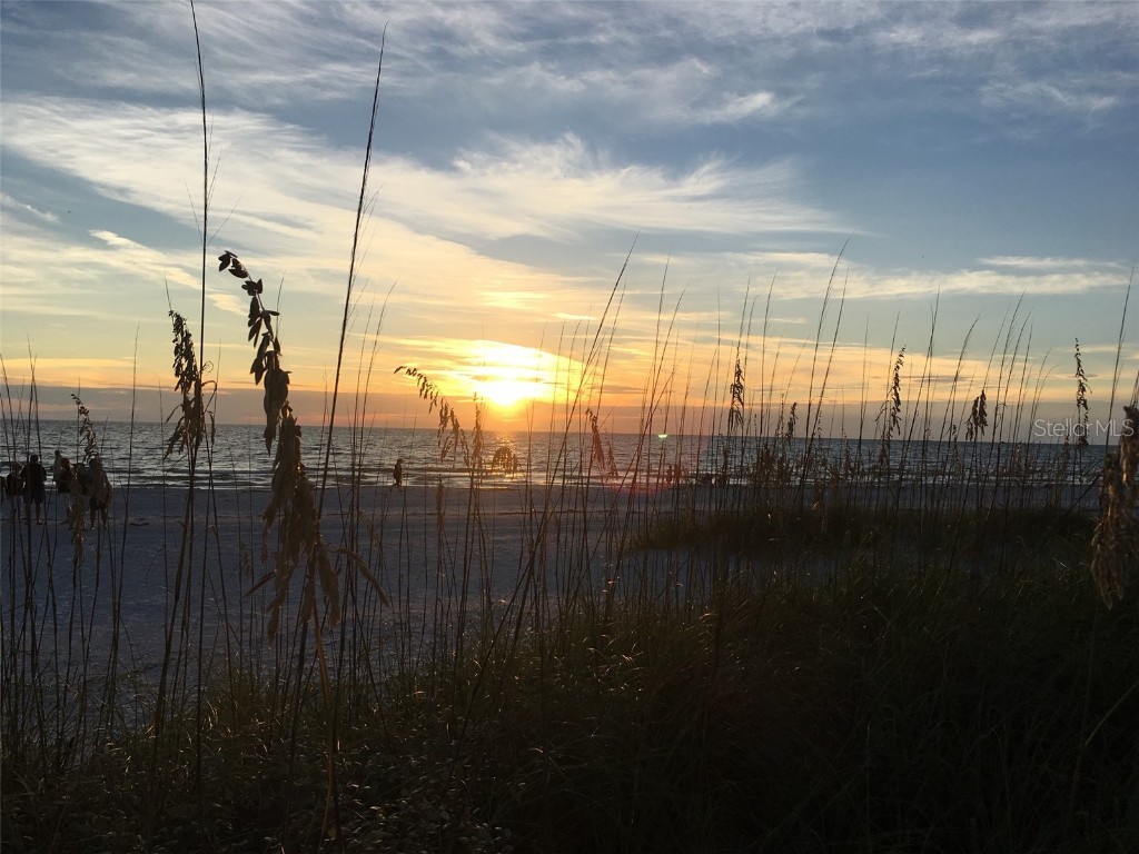 6719 3rd Avenue N Saint Petersburg FL 33710 TB8420250 image70