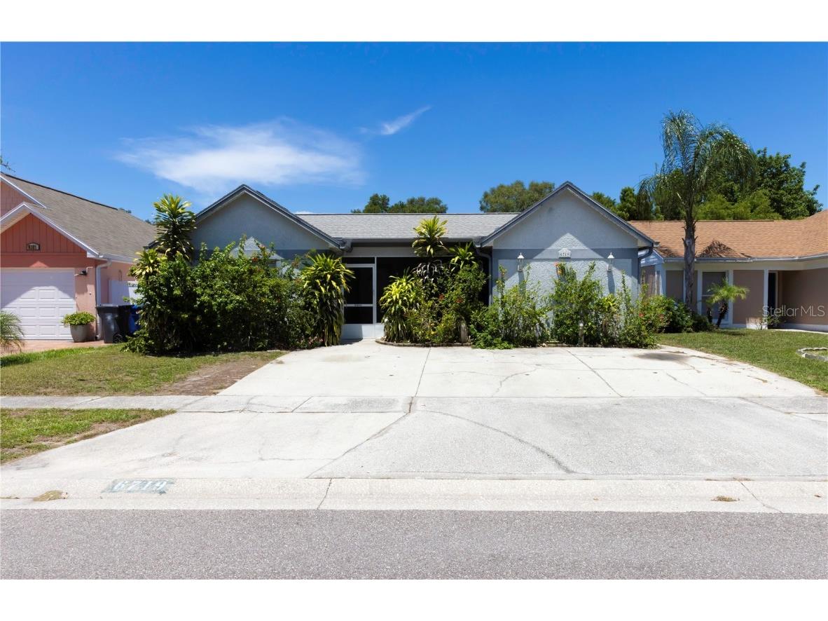 6719 Gilda Drive Tampa FL 33625 T3464262 image1
