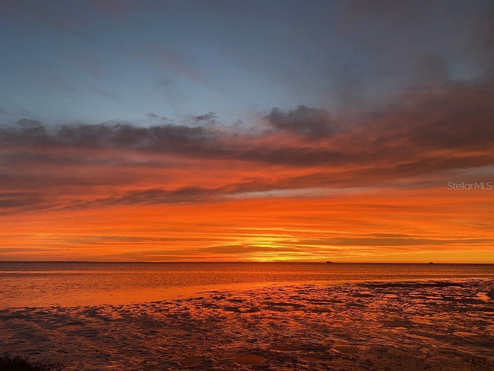 6719 Manor Beach Road New Port Richey FL 34652 - ANCLOTE RIVER. GREEN KEY TB8436343 image47