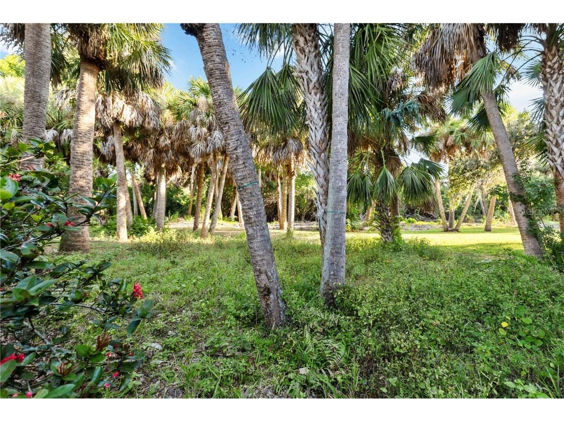 6719 Paseo Castille Sarasota FL 34238 A4673922 image36